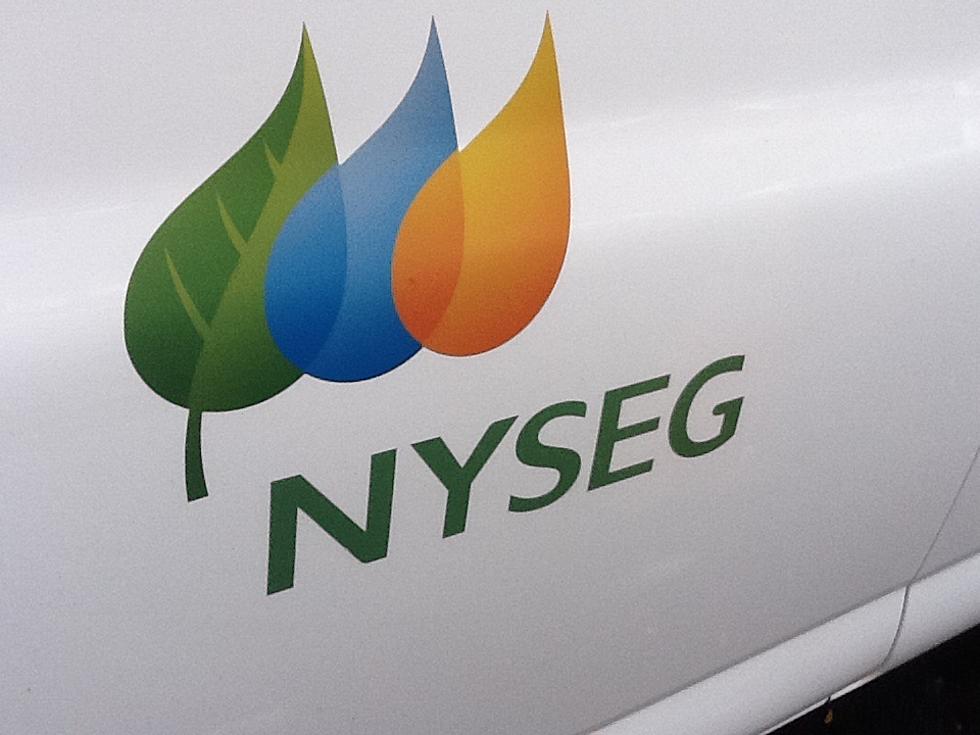 NYSEG Seeks Huge Electricity Rate Increase