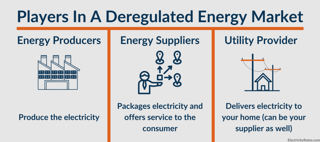 Players in a deregulated energy market