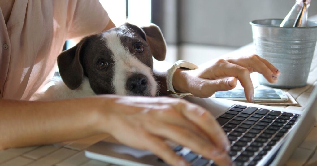 person working from home