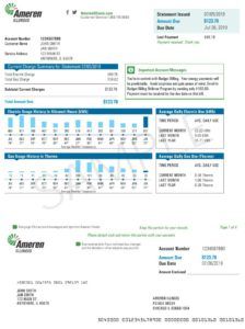 Image of first page of Ameren Electric Bill