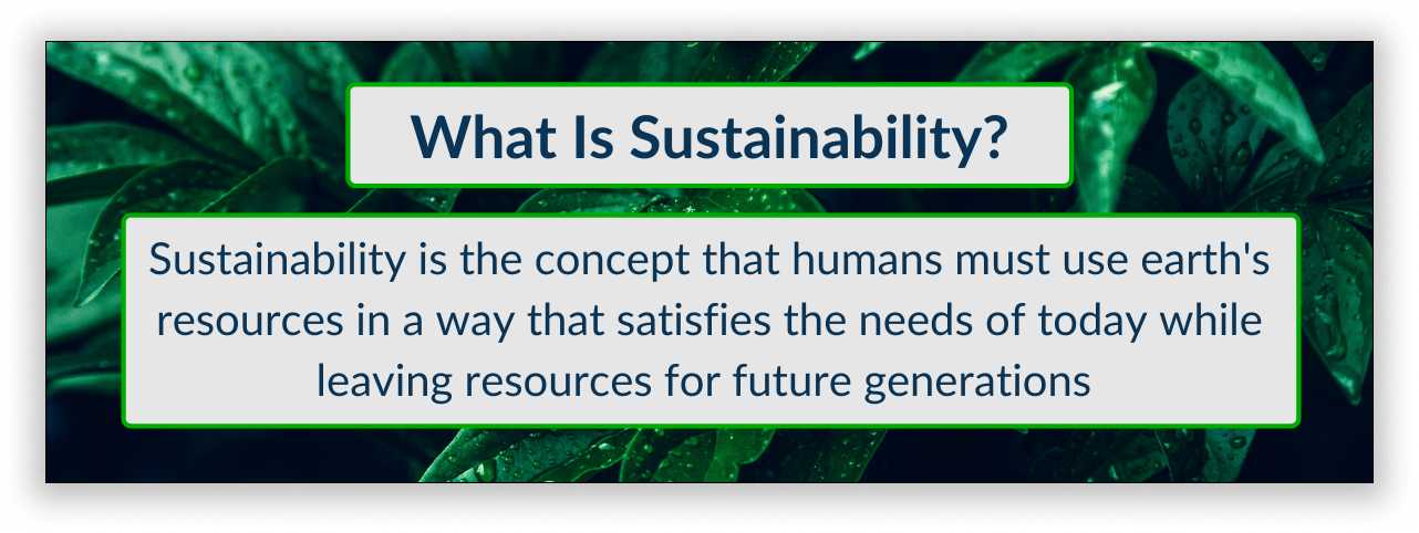 graphic with definition of sustainability on it