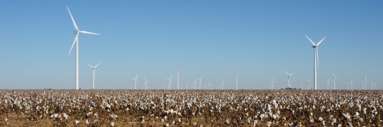 How to Find the Best Energy Plans in Houston