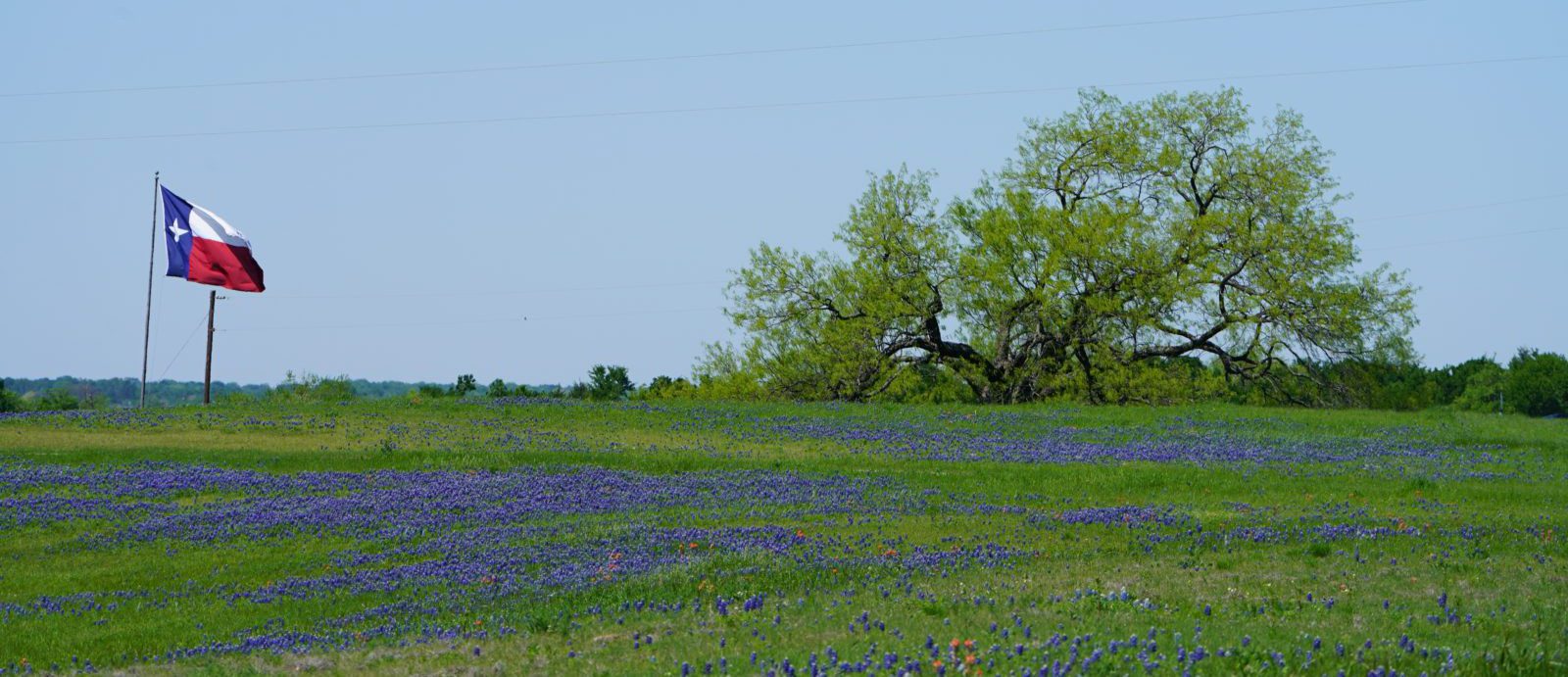 How to Find a Cheap Electric Company in Dallas, TX