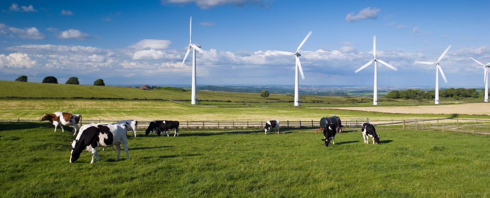 Everything You Need to Know About Energy Companies in Dallas