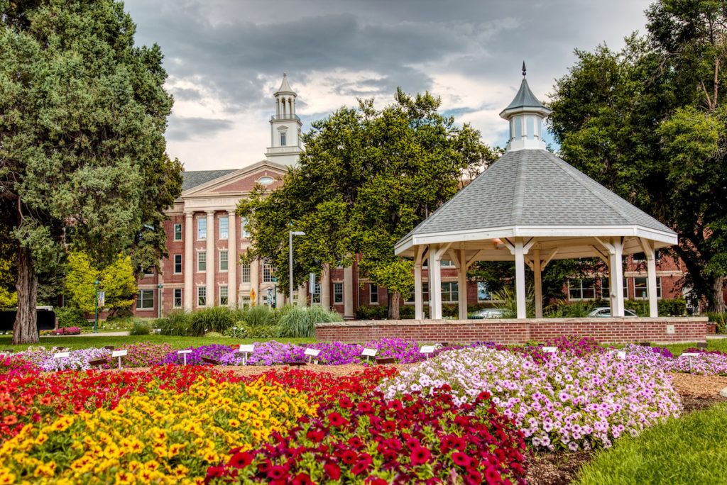 Colorado State University campus flower beds in spring