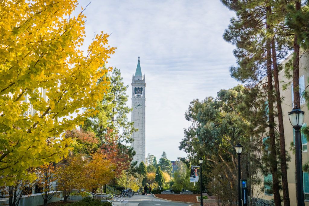 Autumn colored trees in the UC Berkeley campus; Sather Tower (Campanile) in the background
