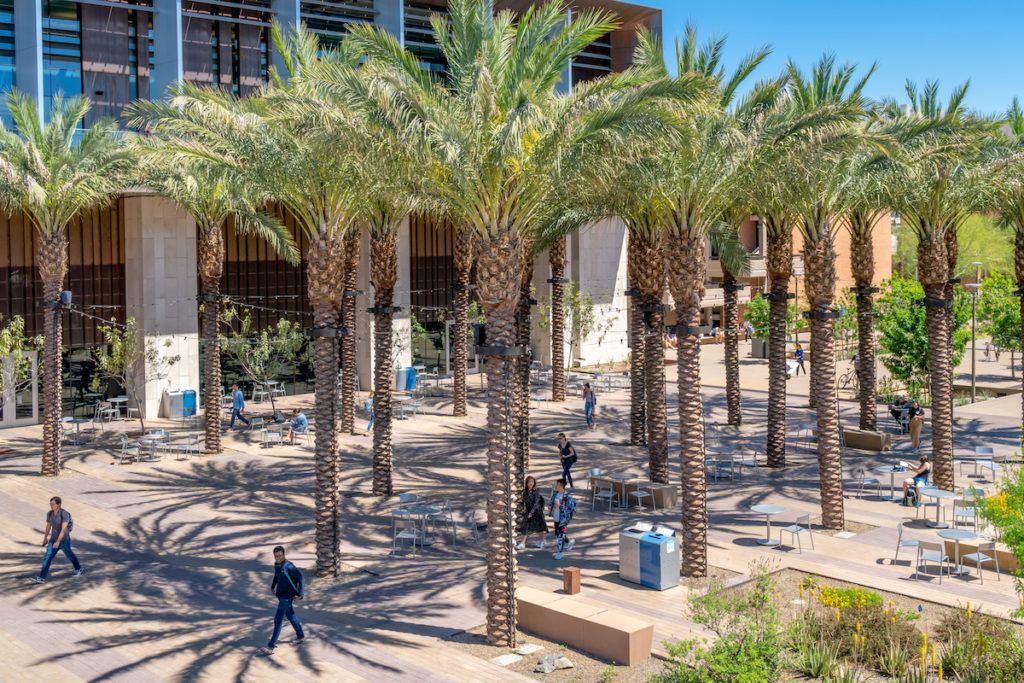 individuals on the campus of Arizona State University.