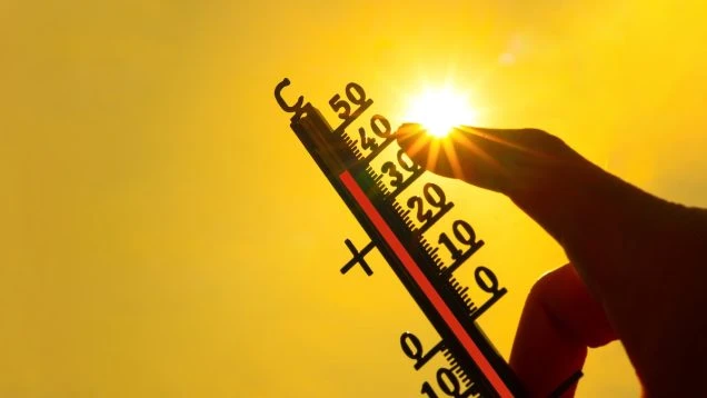 Tips for preparing and surviving a heat wave.